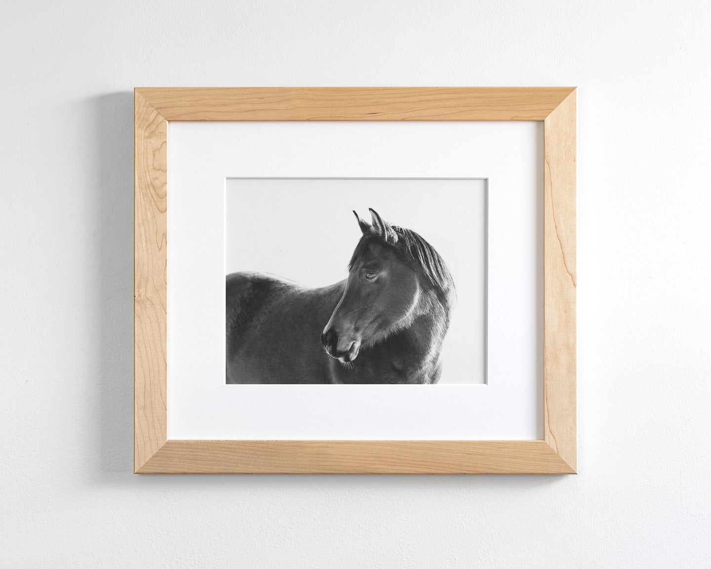 Dark Horse