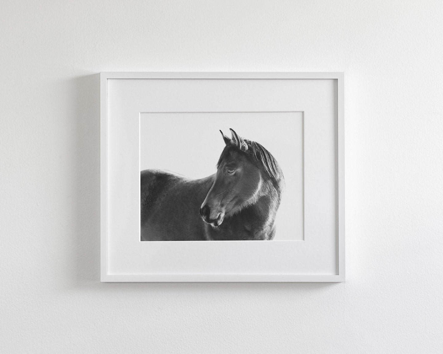 Dark Horse