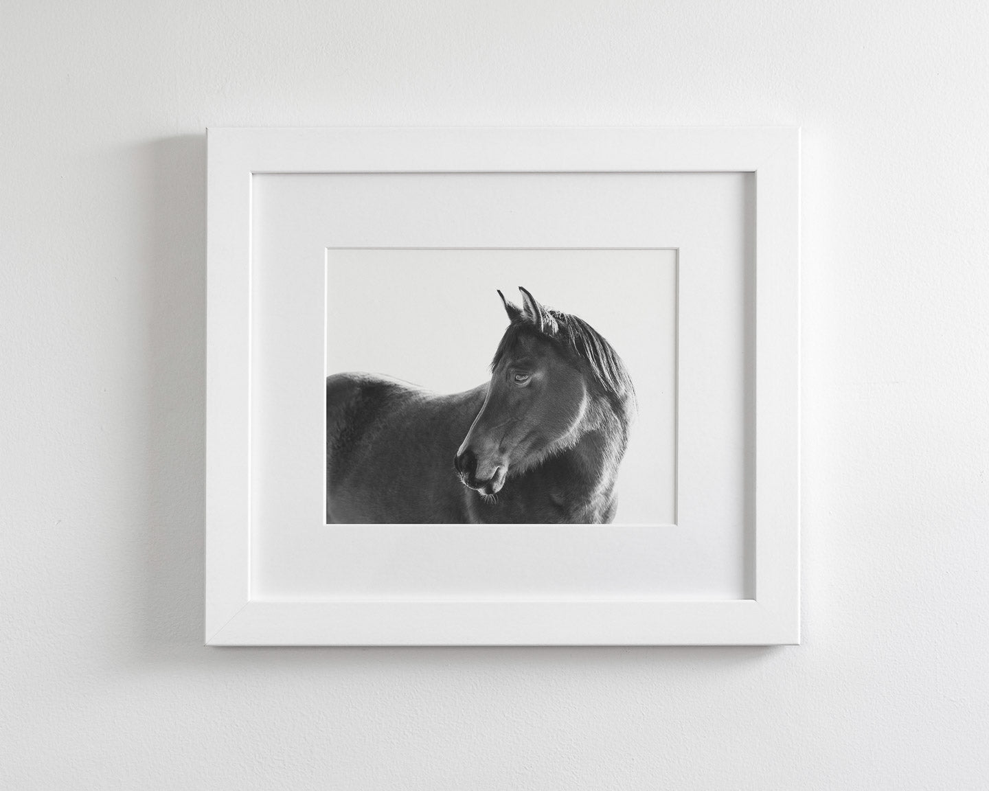 Dark Horse