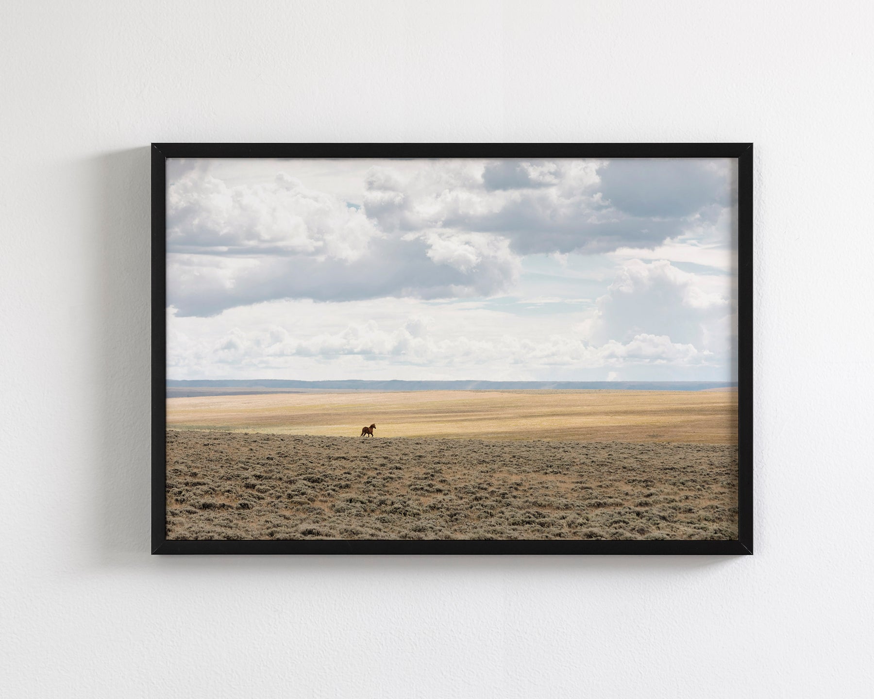 Copy of Expanse, Color