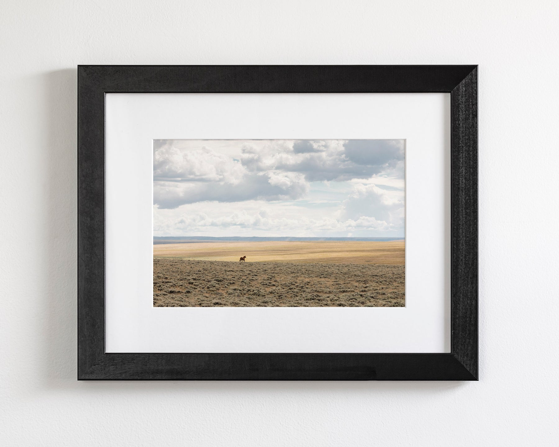 Copy of Expanse, Color