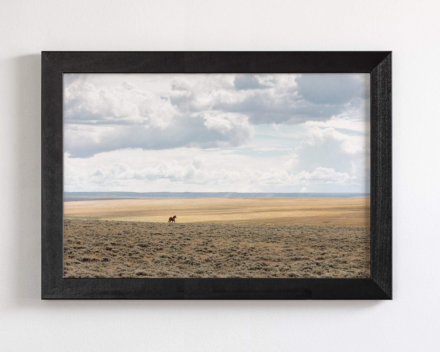 Copy of Expanse, Color