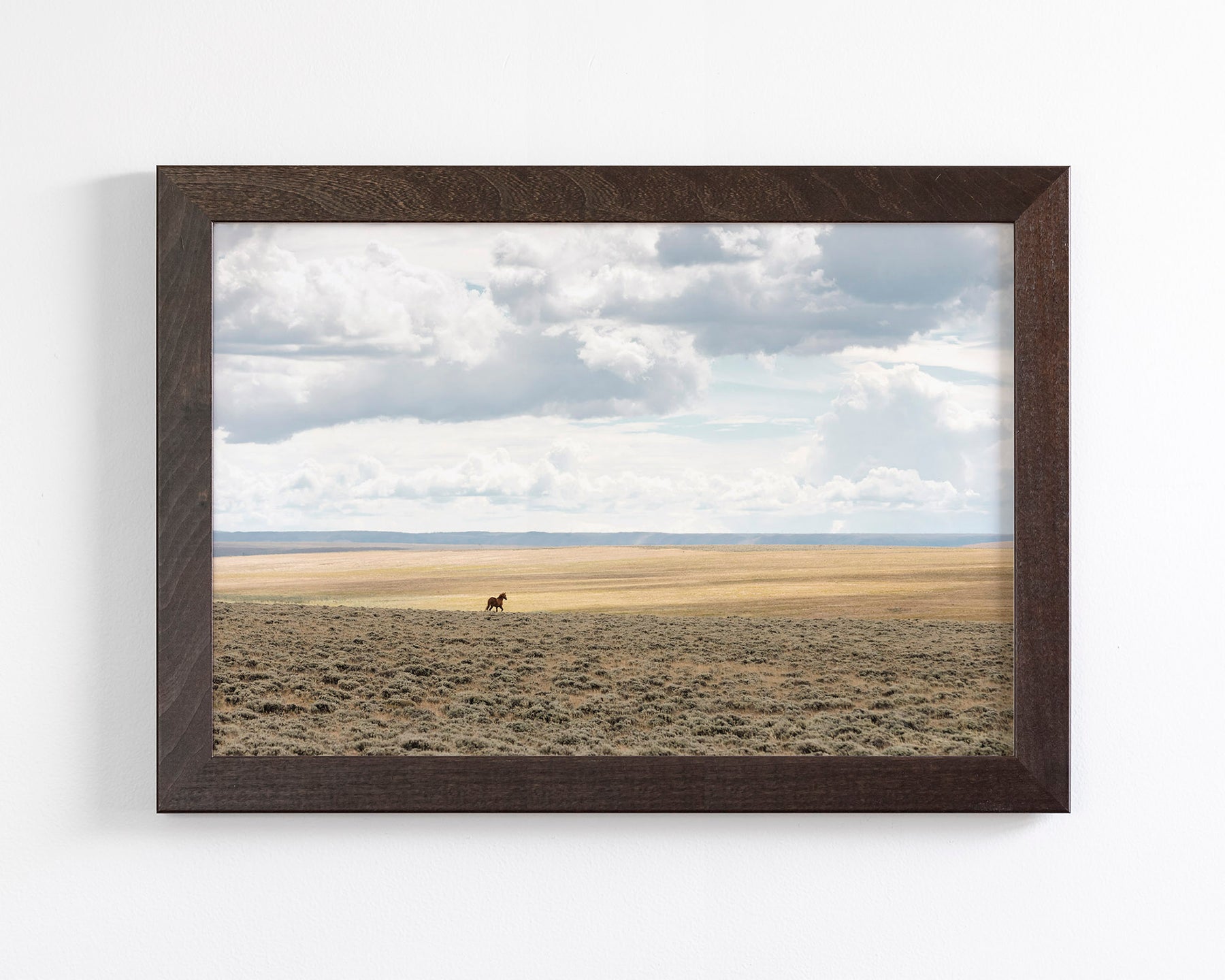 Copy of Expanse, Color