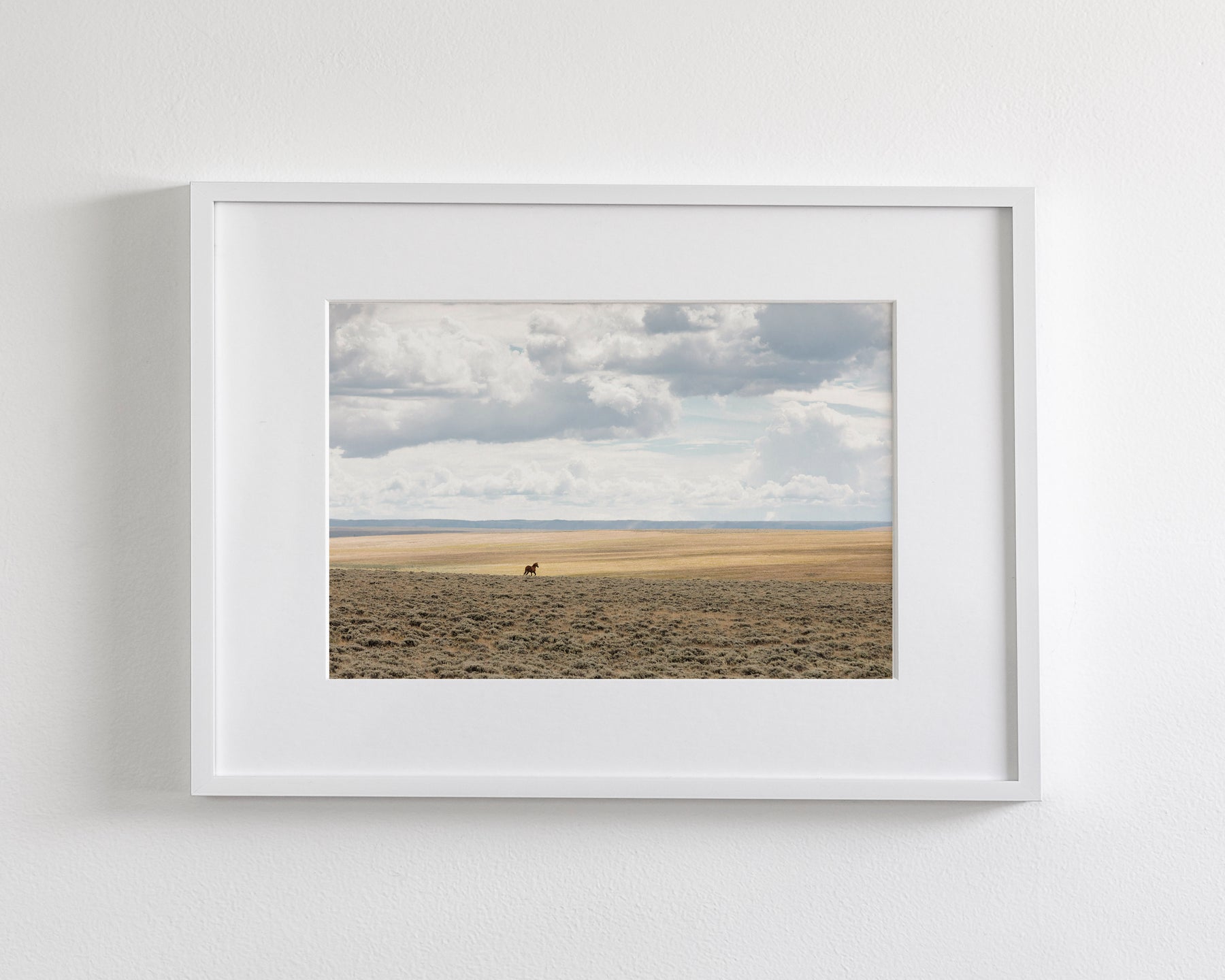 Copy of Expanse, Color