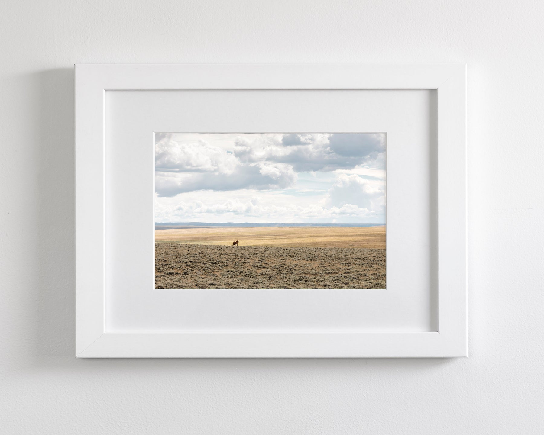 Copy of Expanse, Color