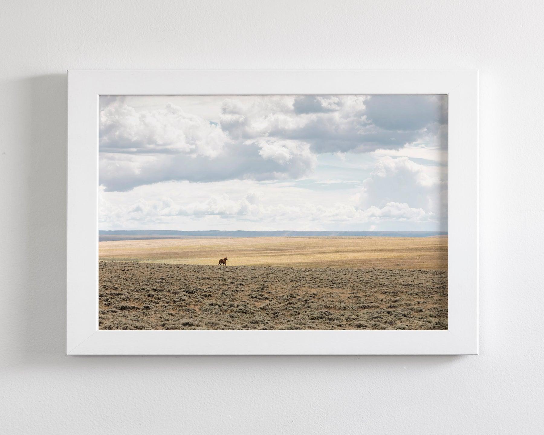 Copy of Expanse, Color