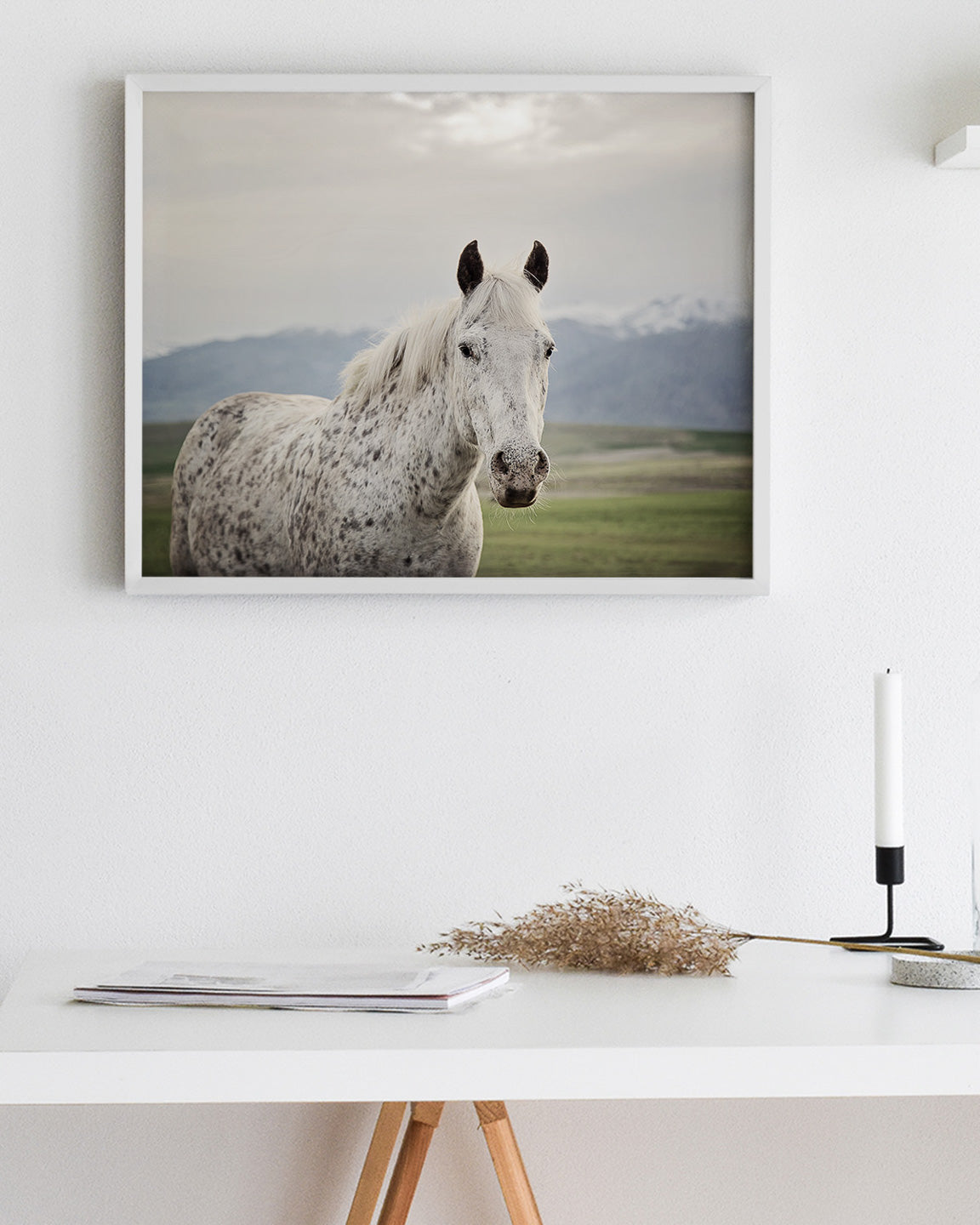 Freckles Appaloosa Horse