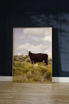 Ghost Cow, Western Landscape