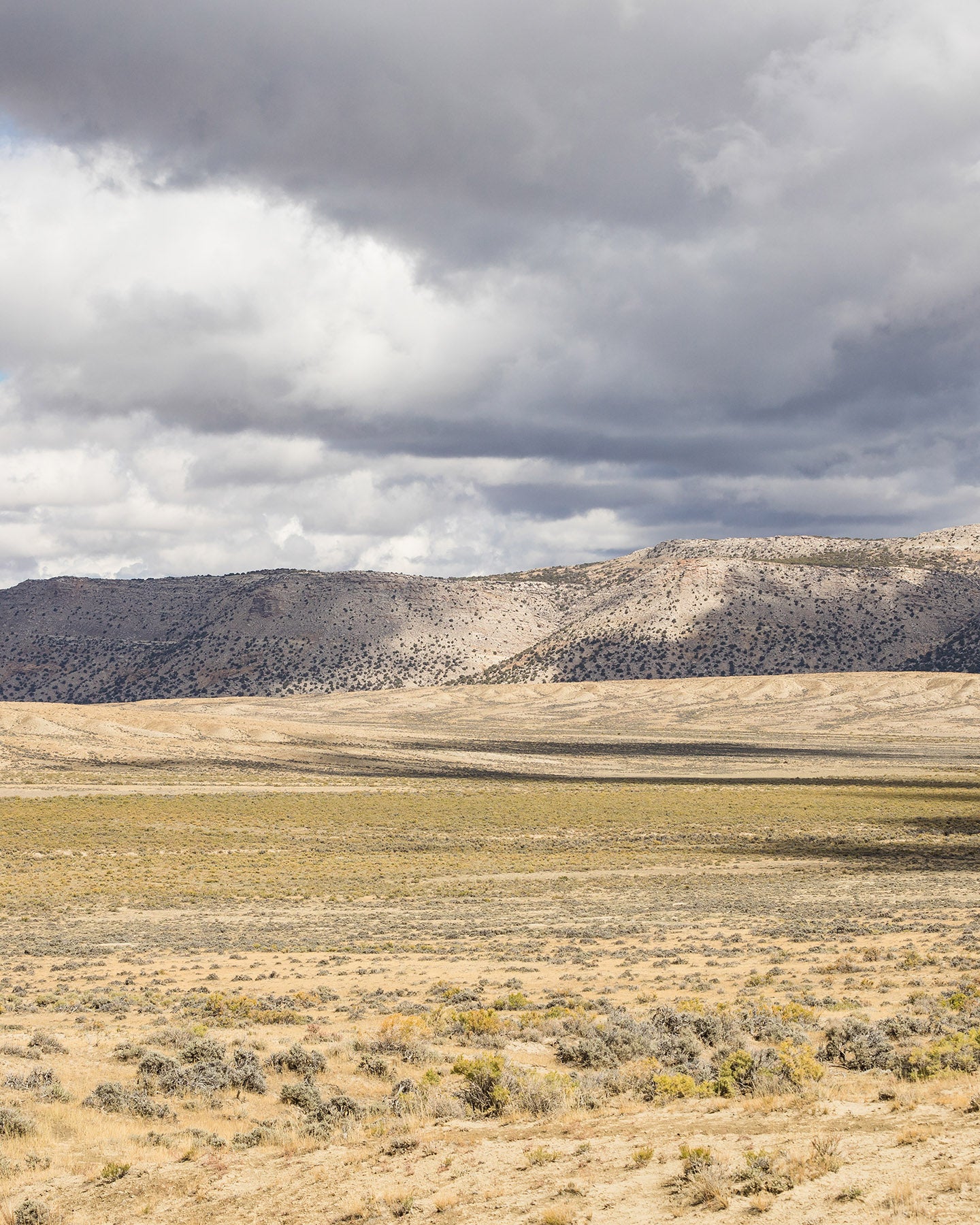 High Plains Rain