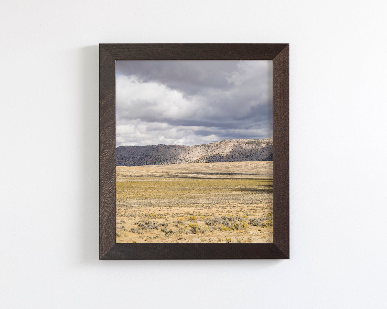 High Plains Rain