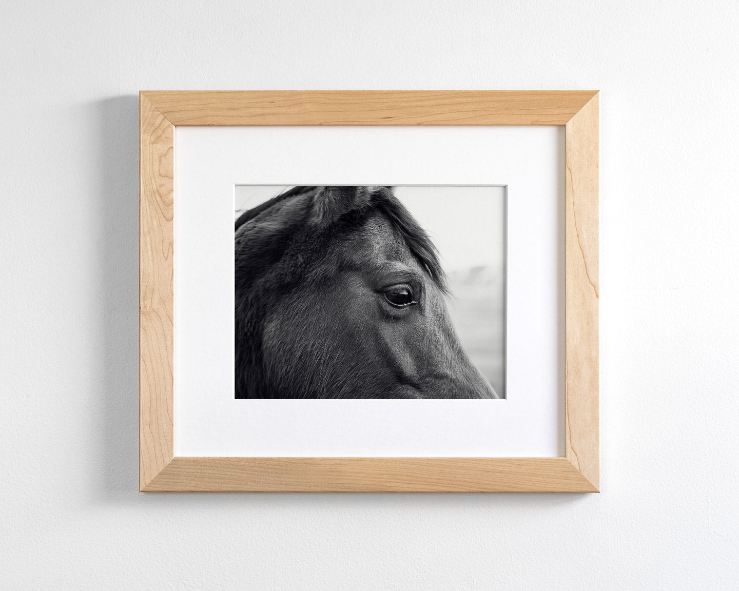 Horse Eye Profile