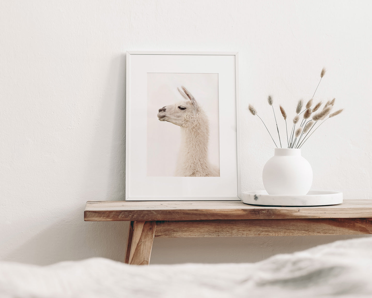 White Llama Profile