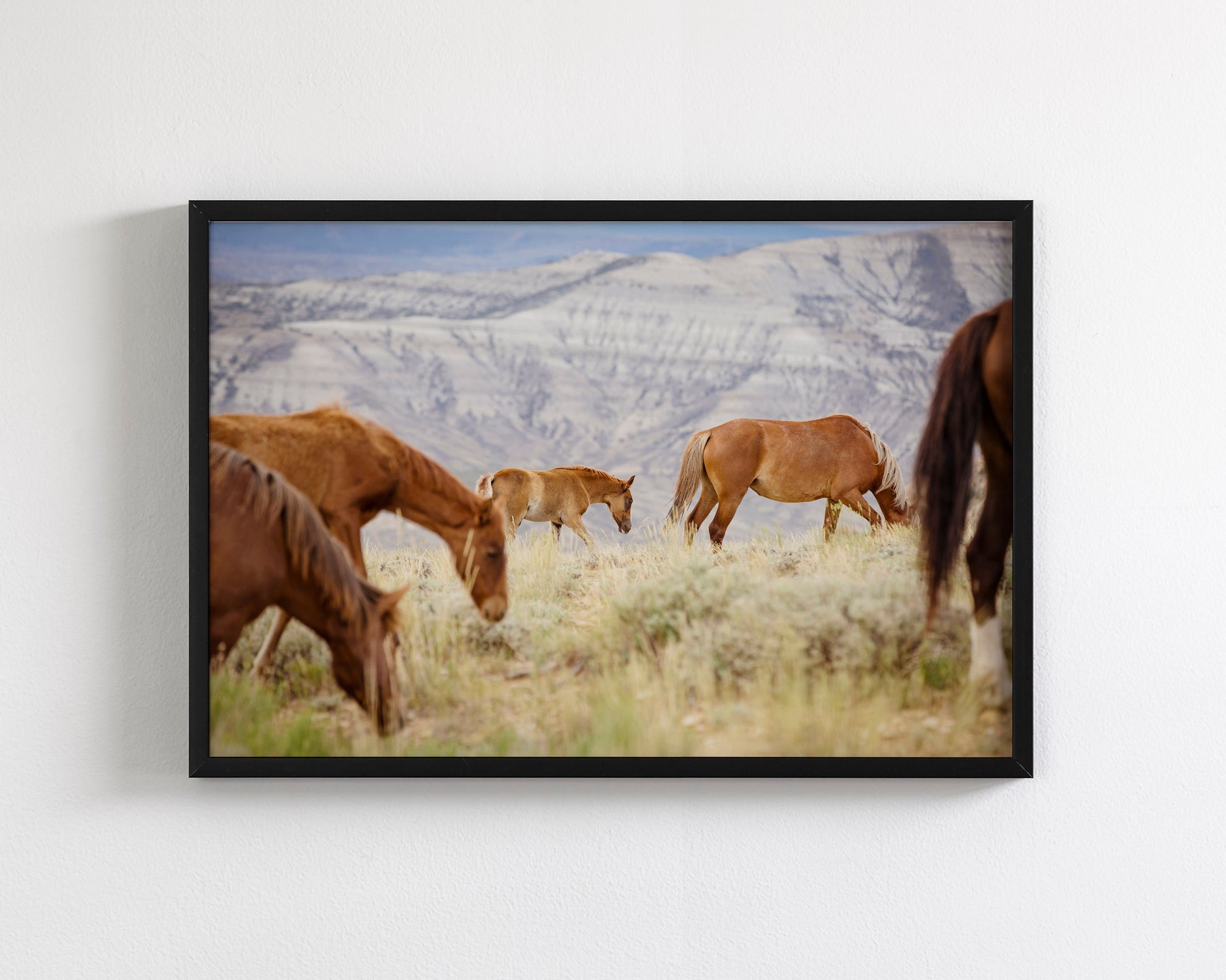 Mountain Graze