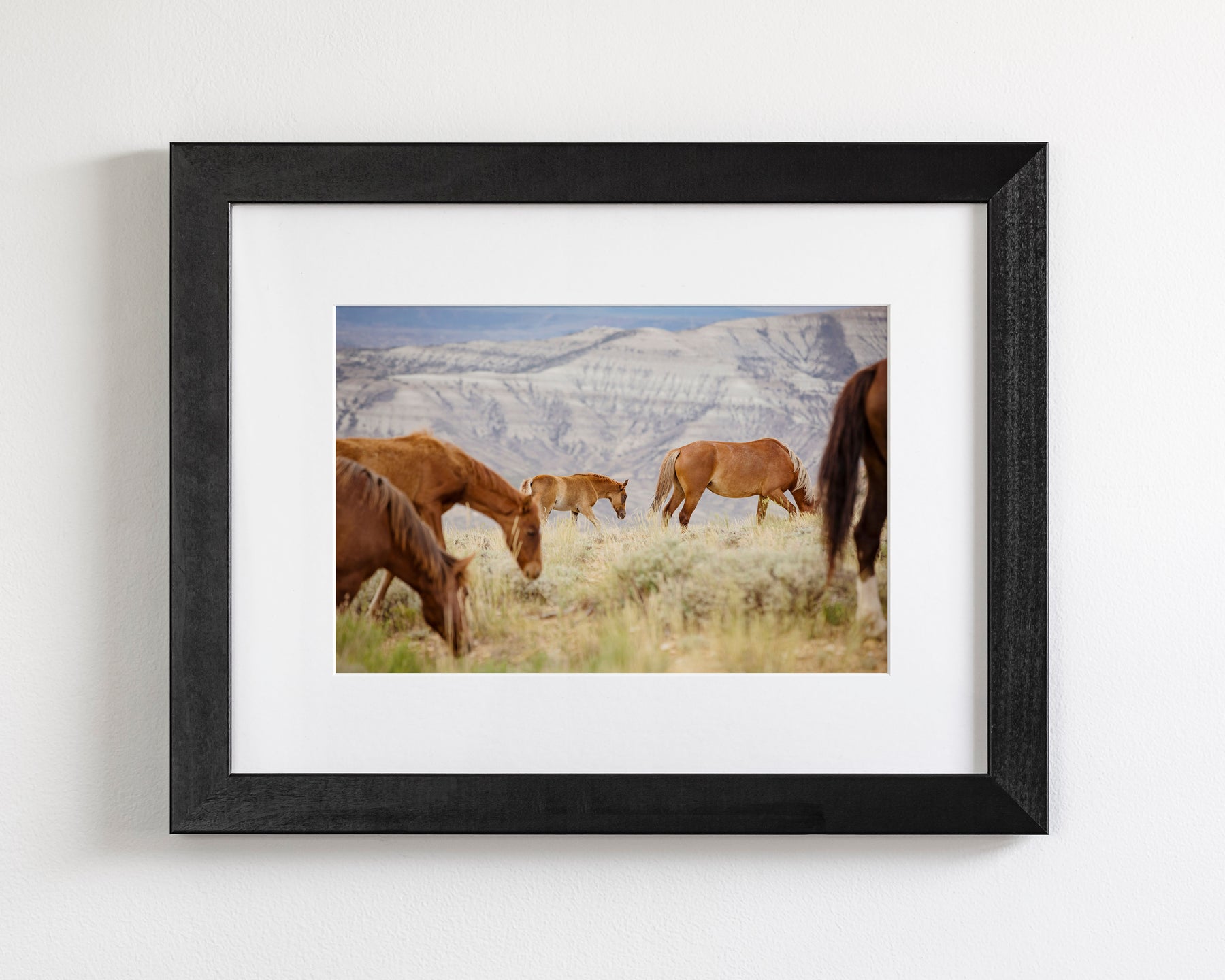 Mountain Graze