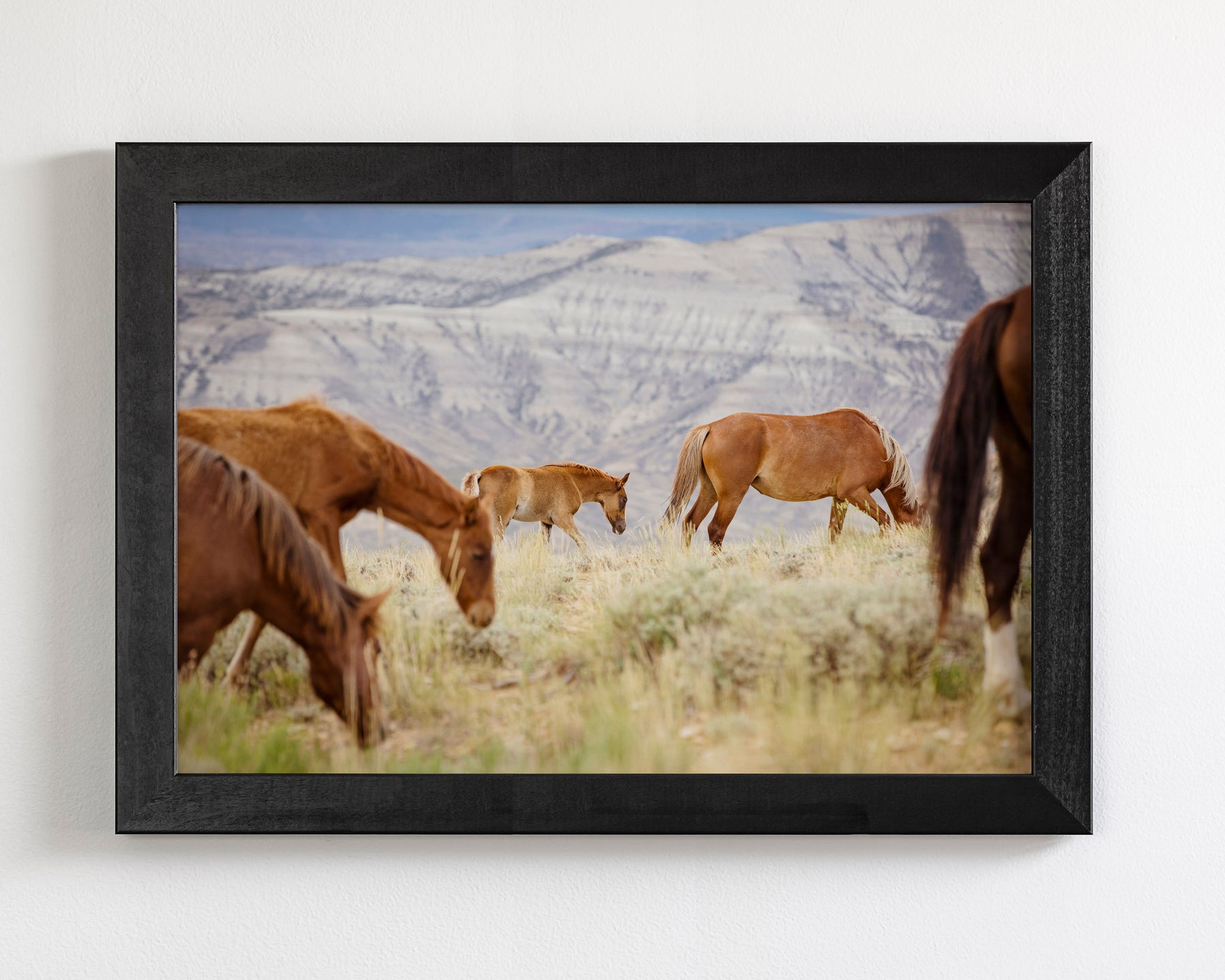 Mountain Graze