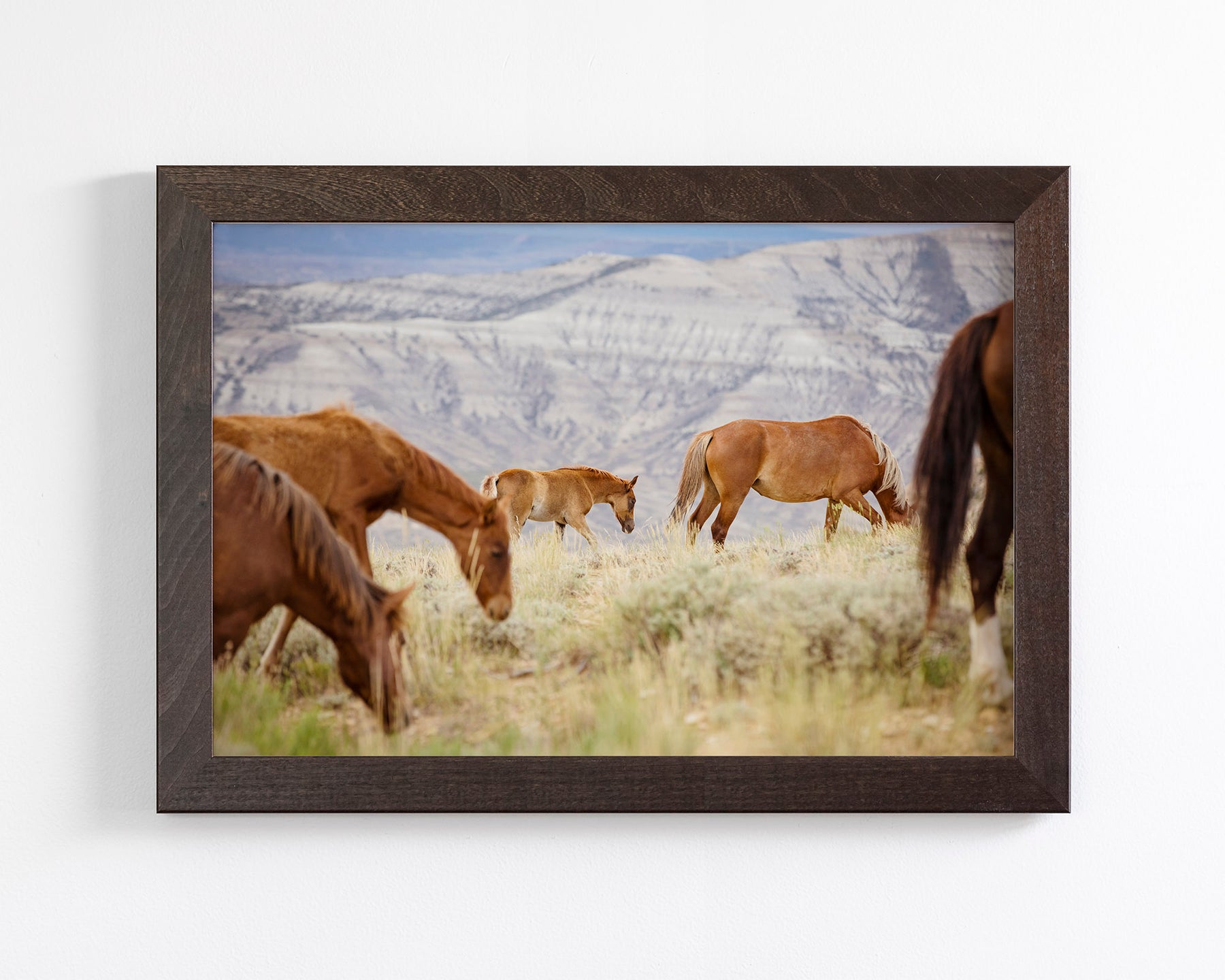 Mountain Graze