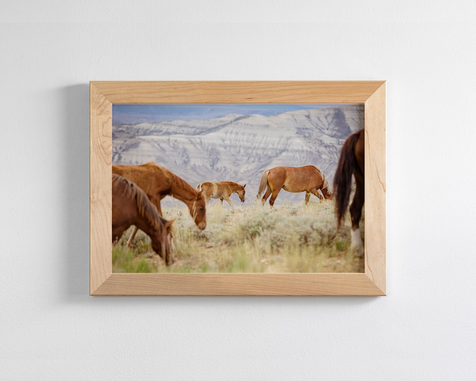 Mountain Graze