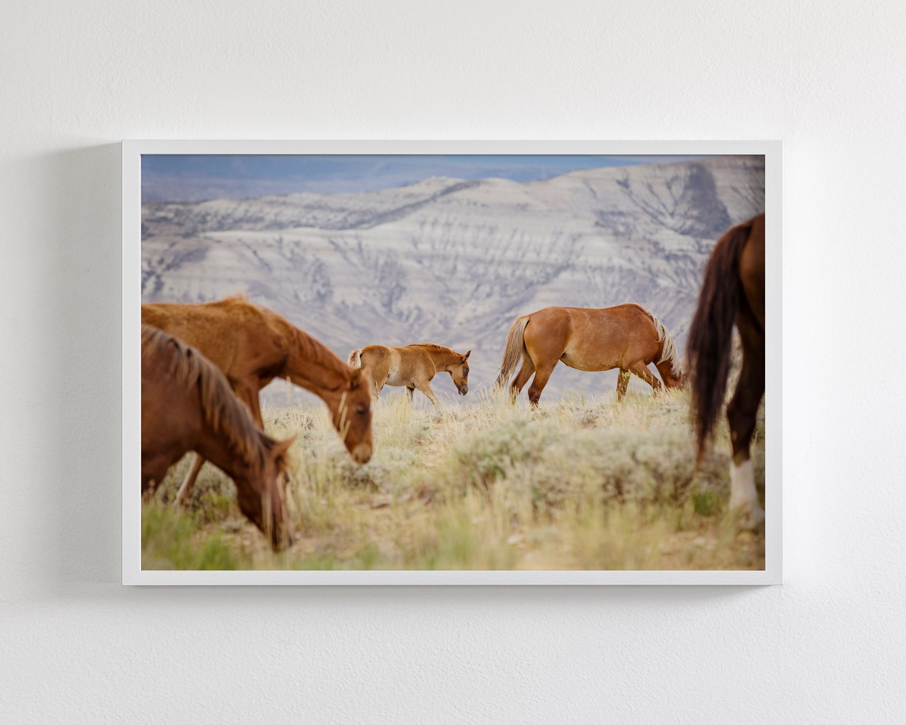 Mountain Graze