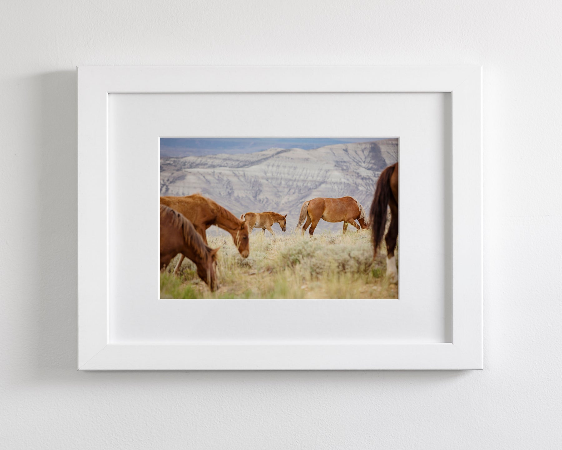 Mountain Graze