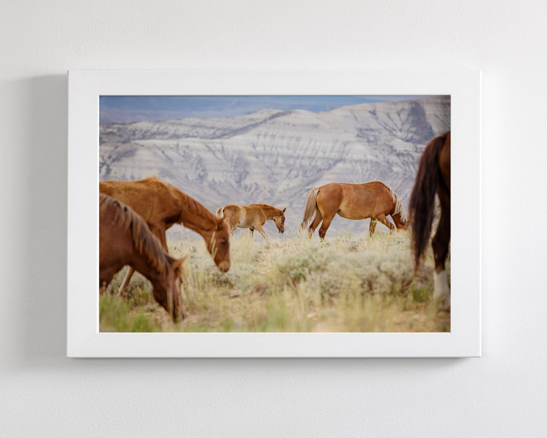 Mountain Graze