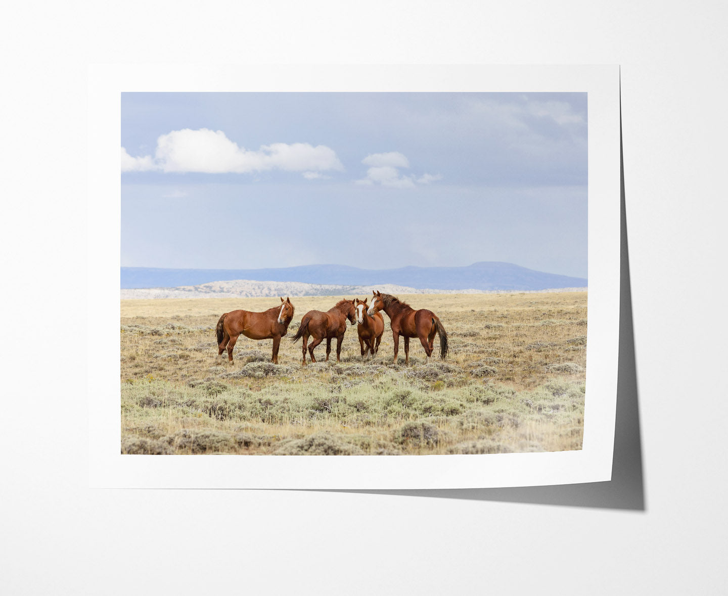 On Their Land