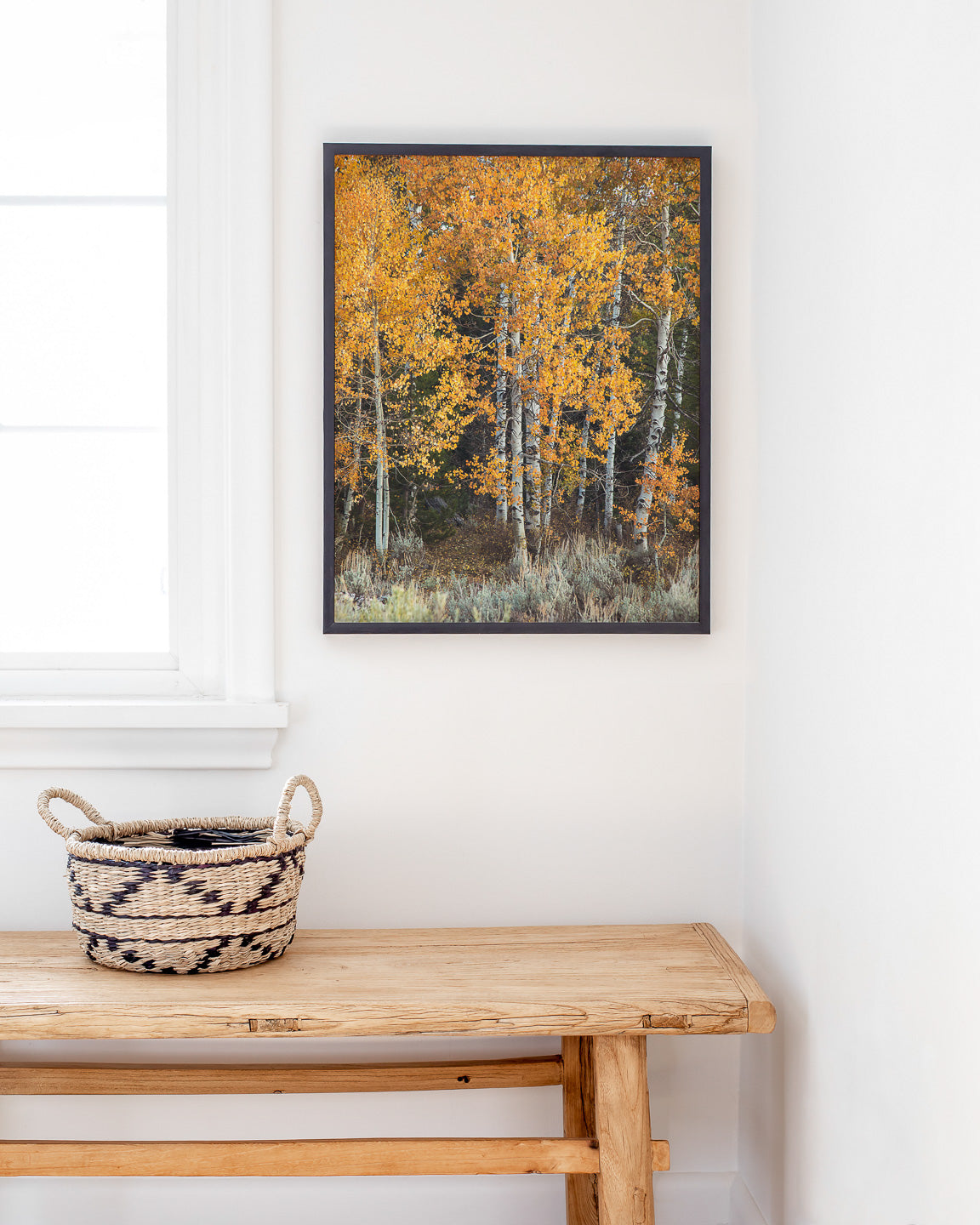 Vibrant Aspens