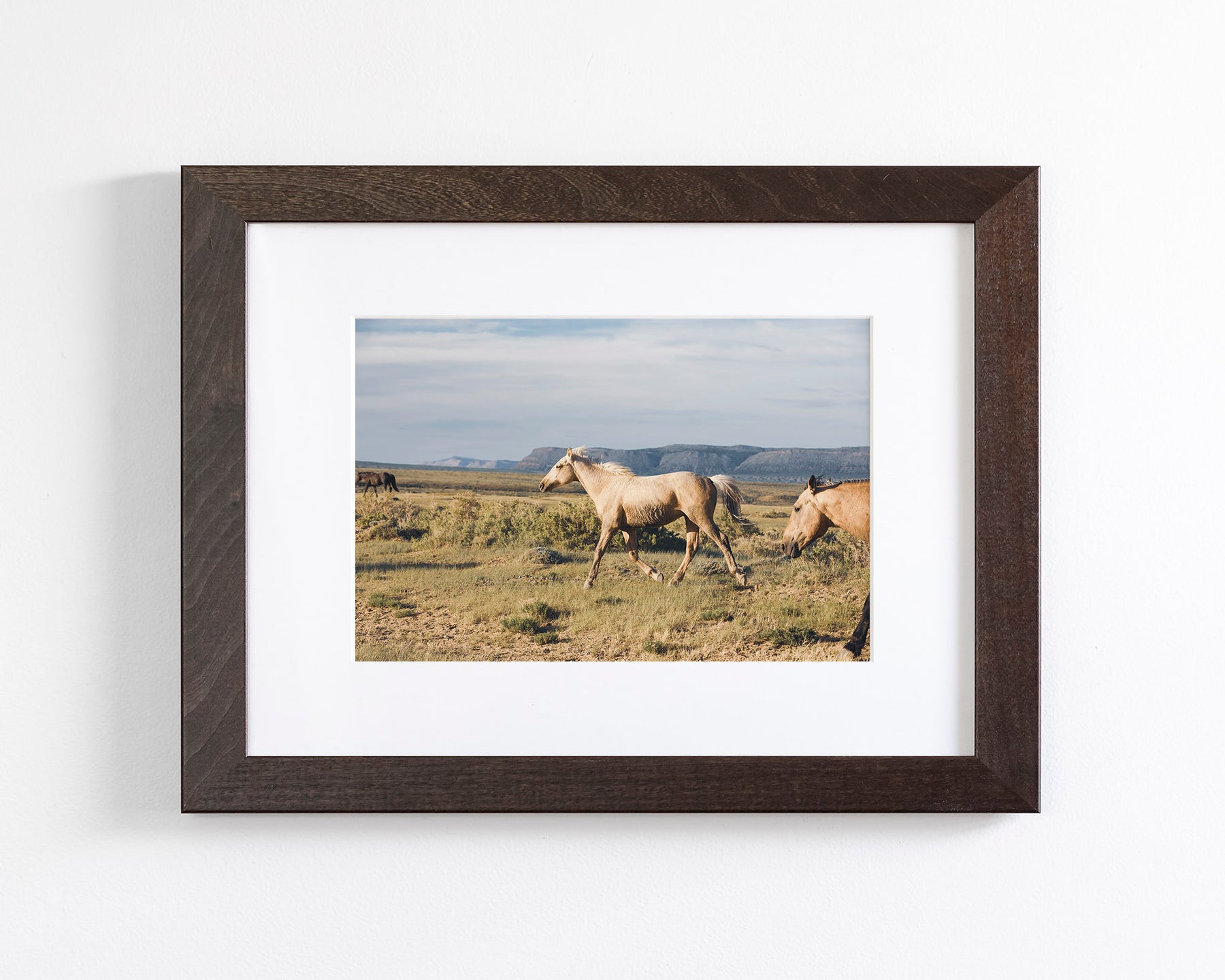 Unbridled- Wild Palomino Horse