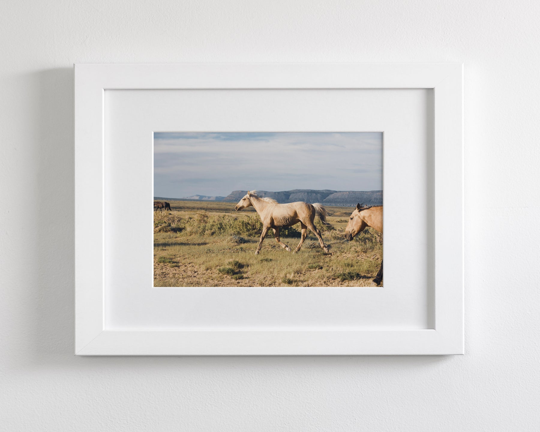 Unbridled- Wild Palomino Horse