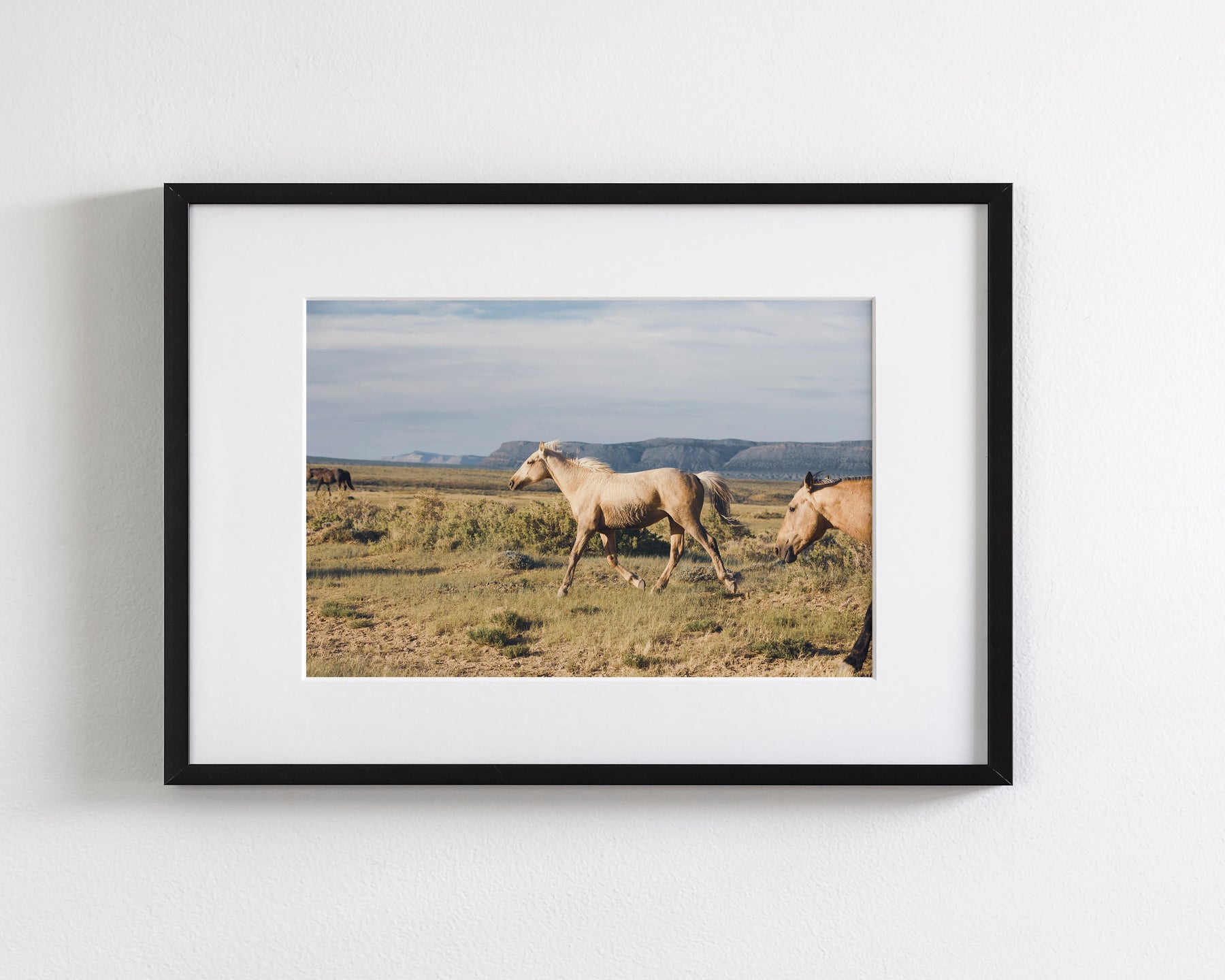 Unbridled- Wild Palomino Horse