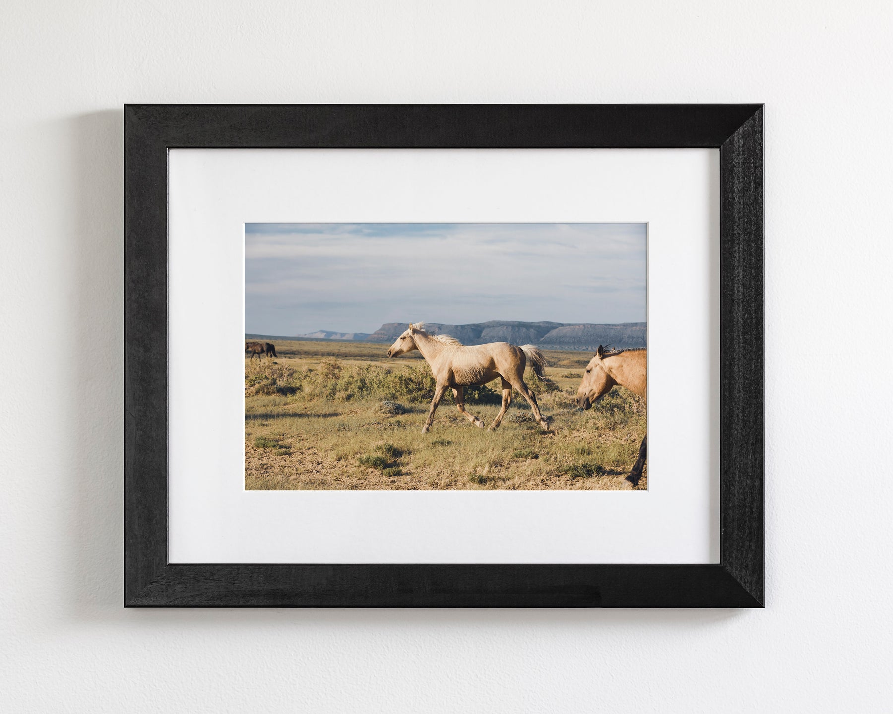 Unbridled- Wild Palomino Horse
