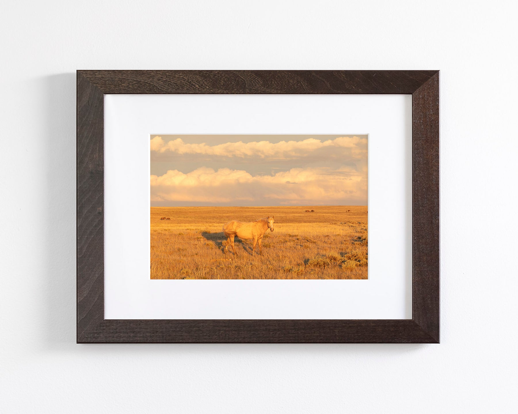 Wild Palomino Glow