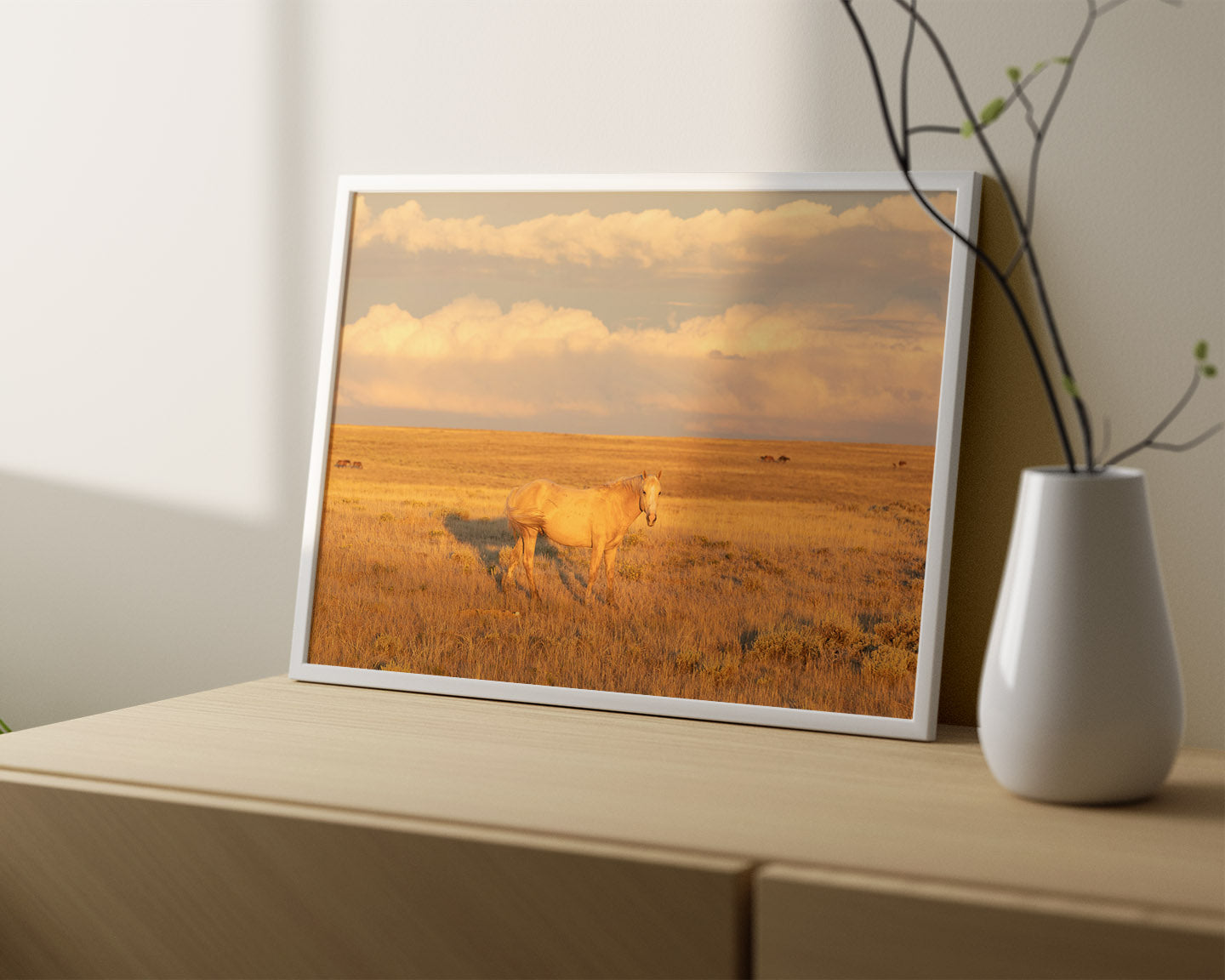 Wild Palomino Glow