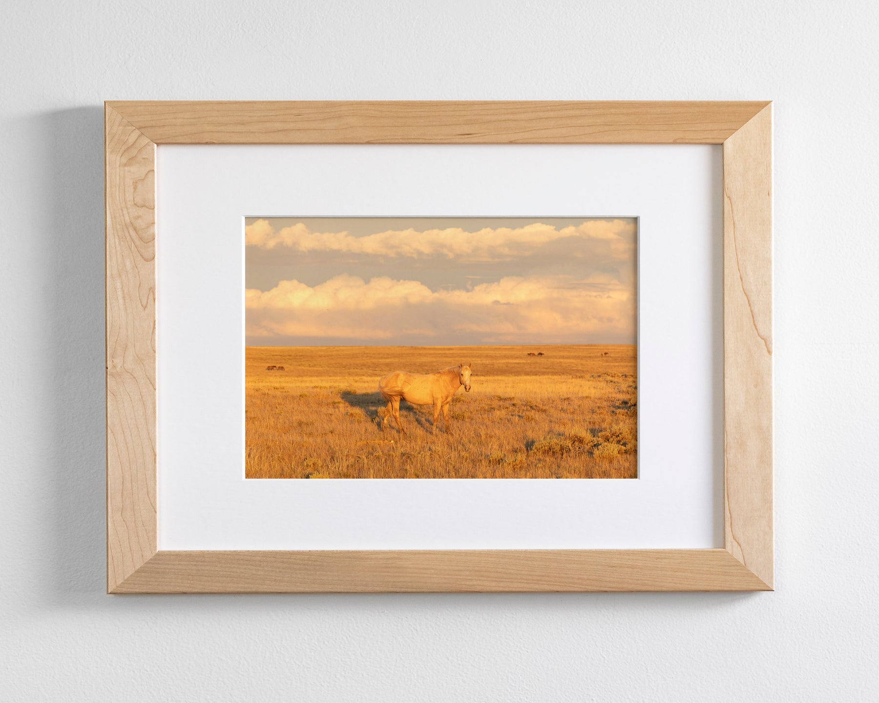Wild Palomino Glow