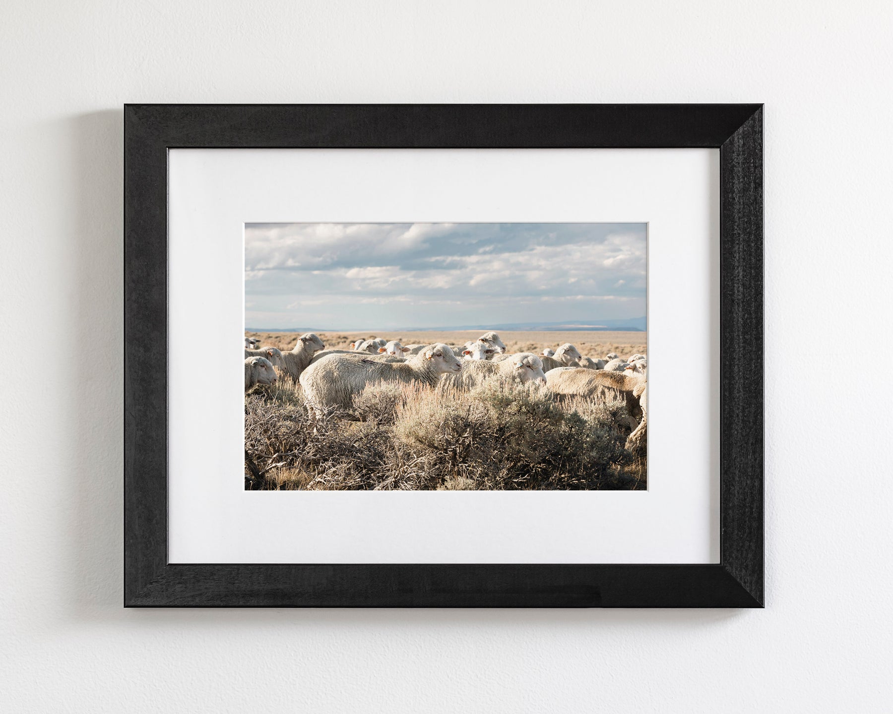 Sheep on the Go