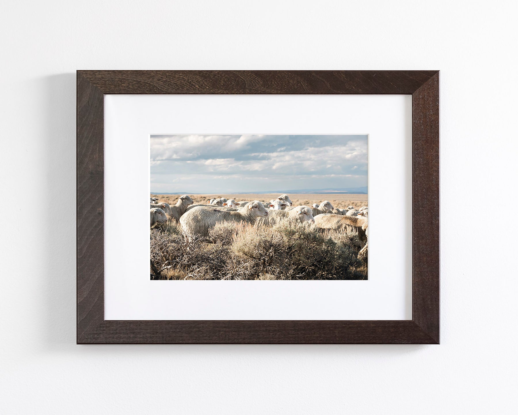 Sheep on the Go