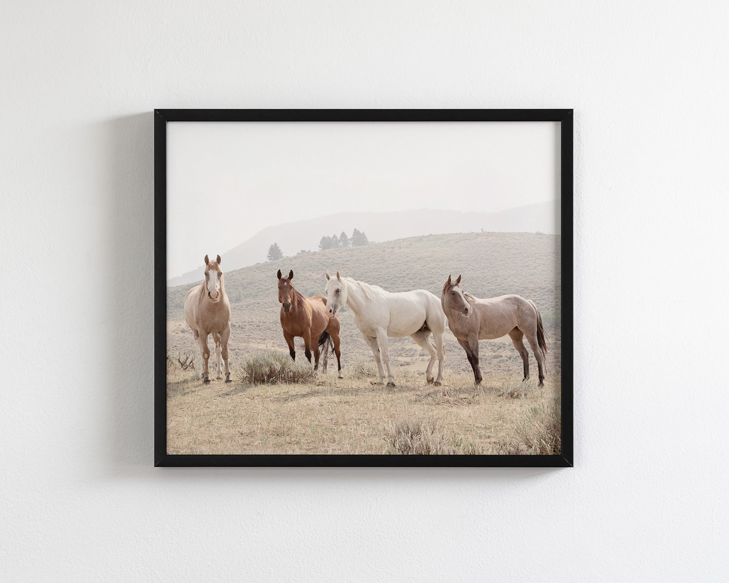 Hillside Horses