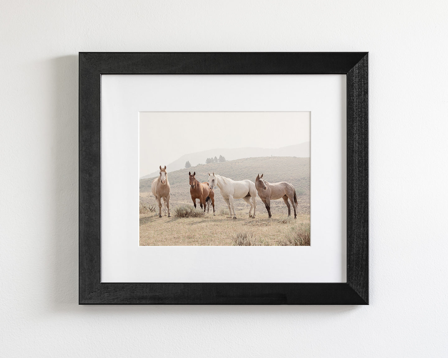 Hillside Horses