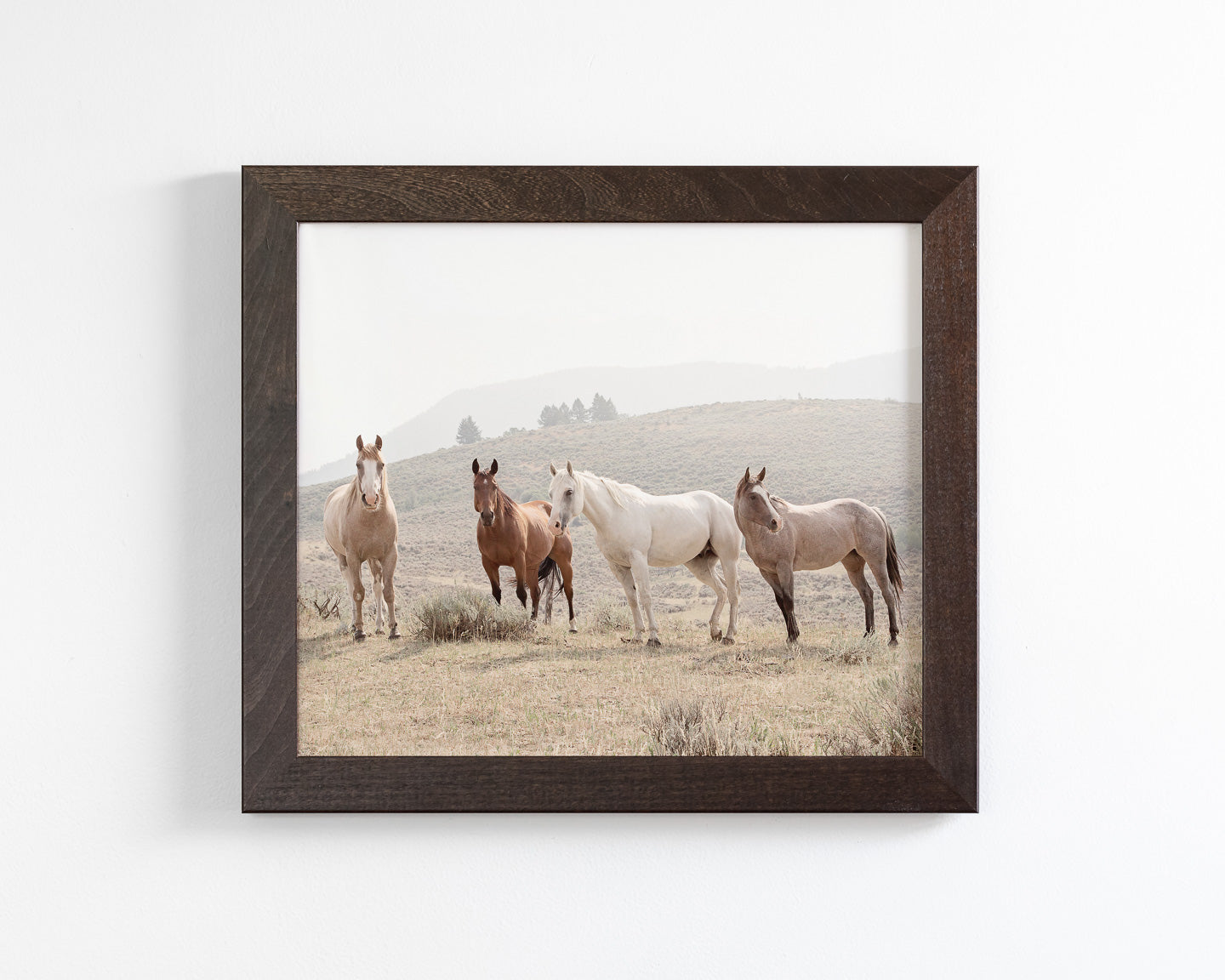 Hillside Horses