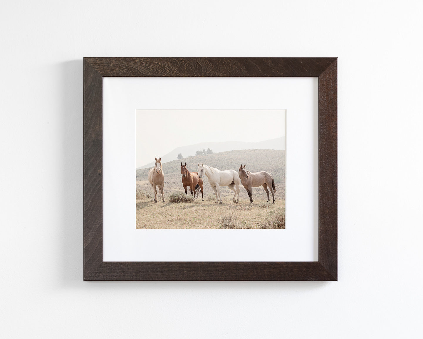 Hillside Horses