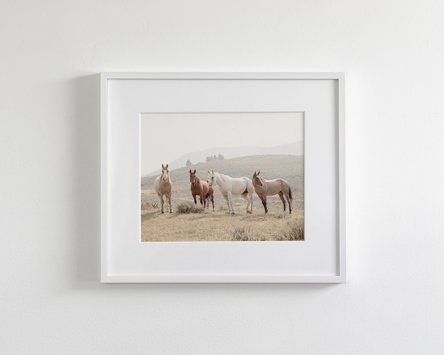 Hillside Horses