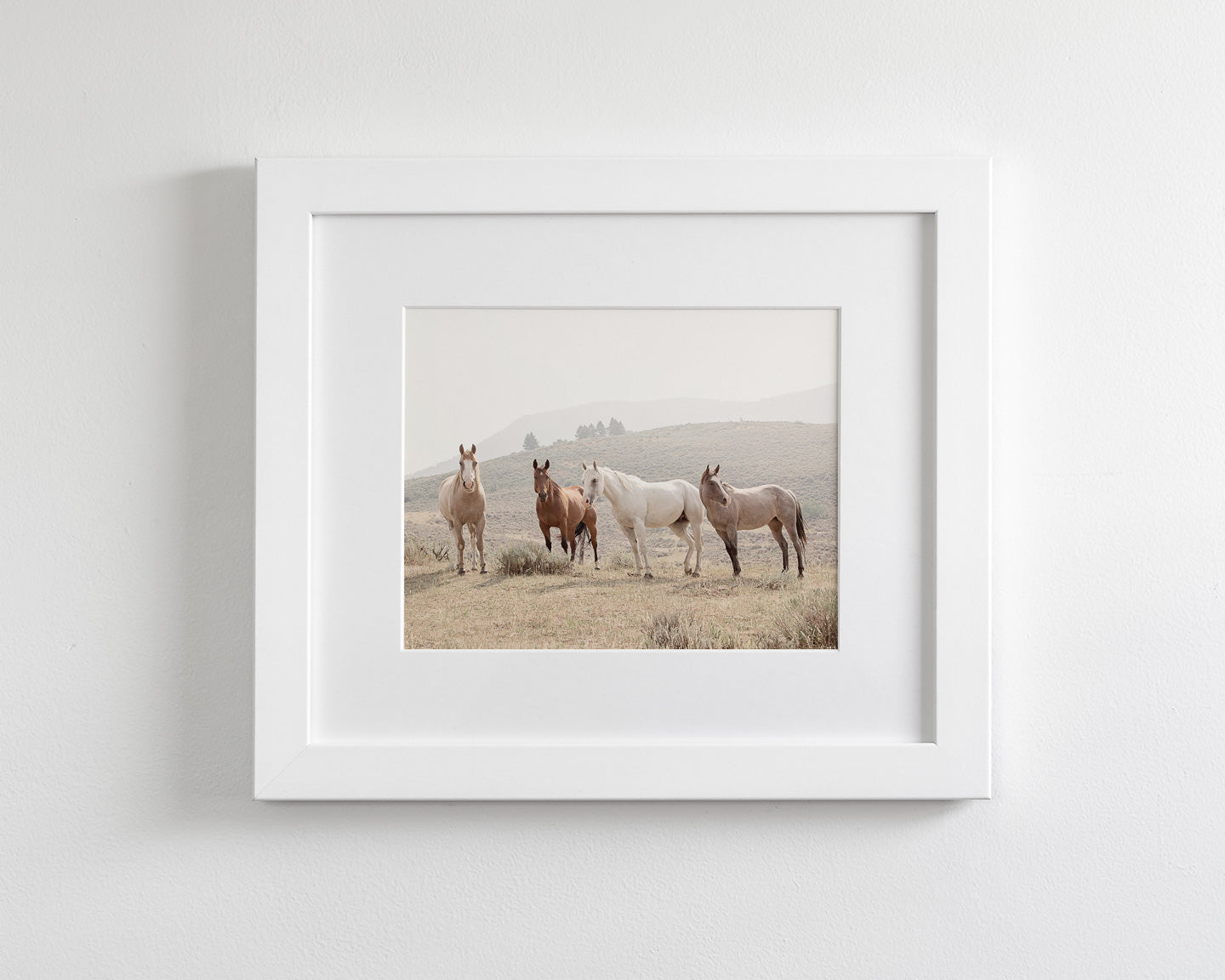 Hillside Horses