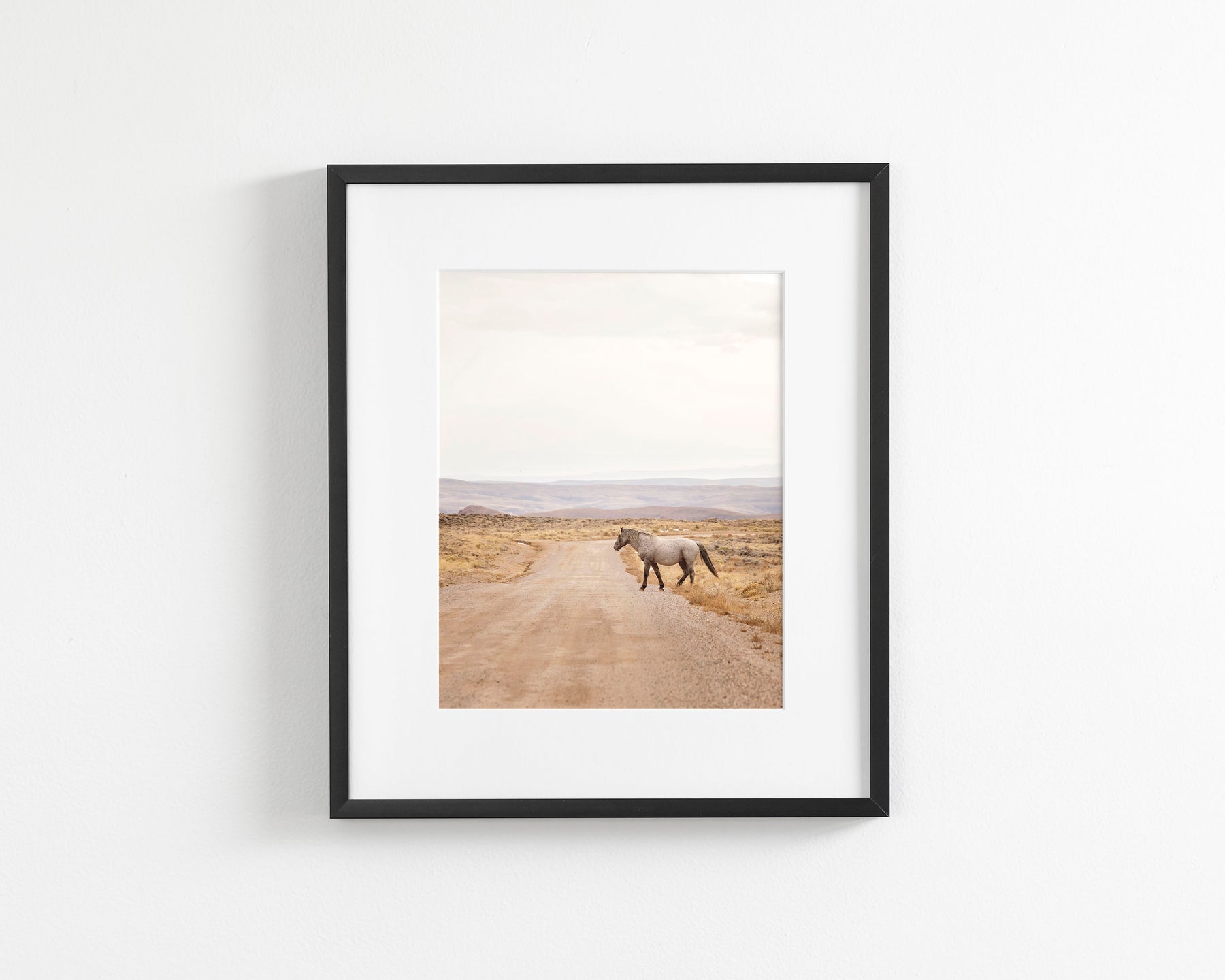 Desert Stallion, color