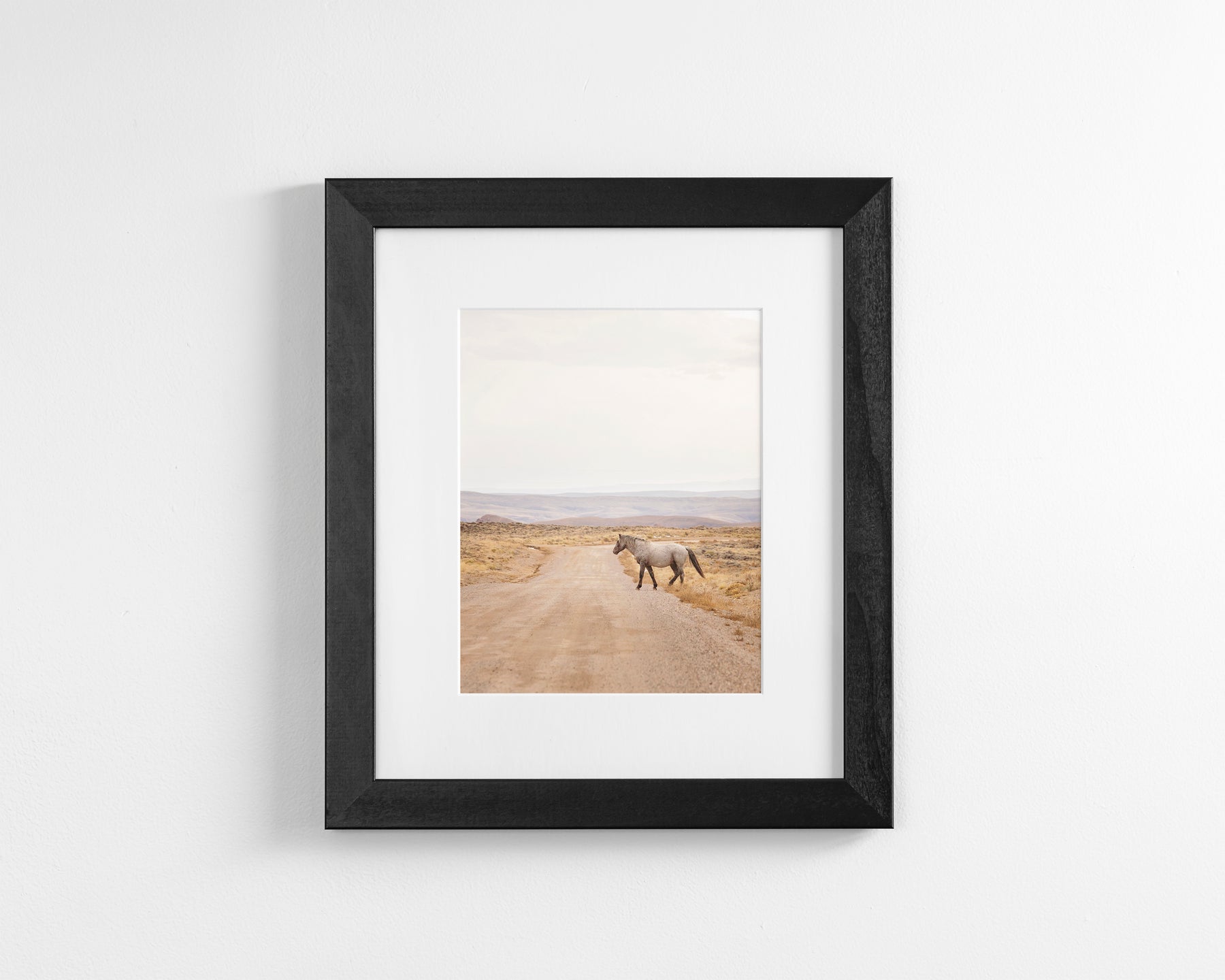 Desert Stallion, color