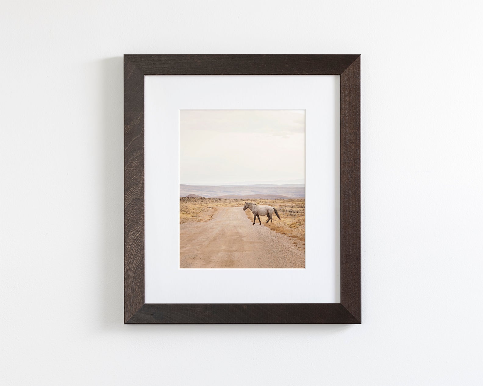Desert Stallion, color