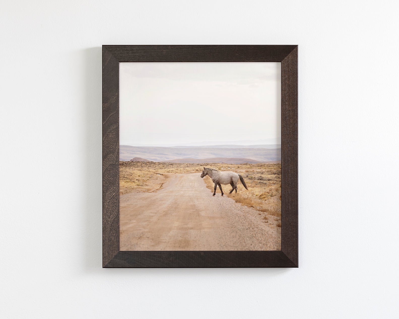 Desert Stallion, color