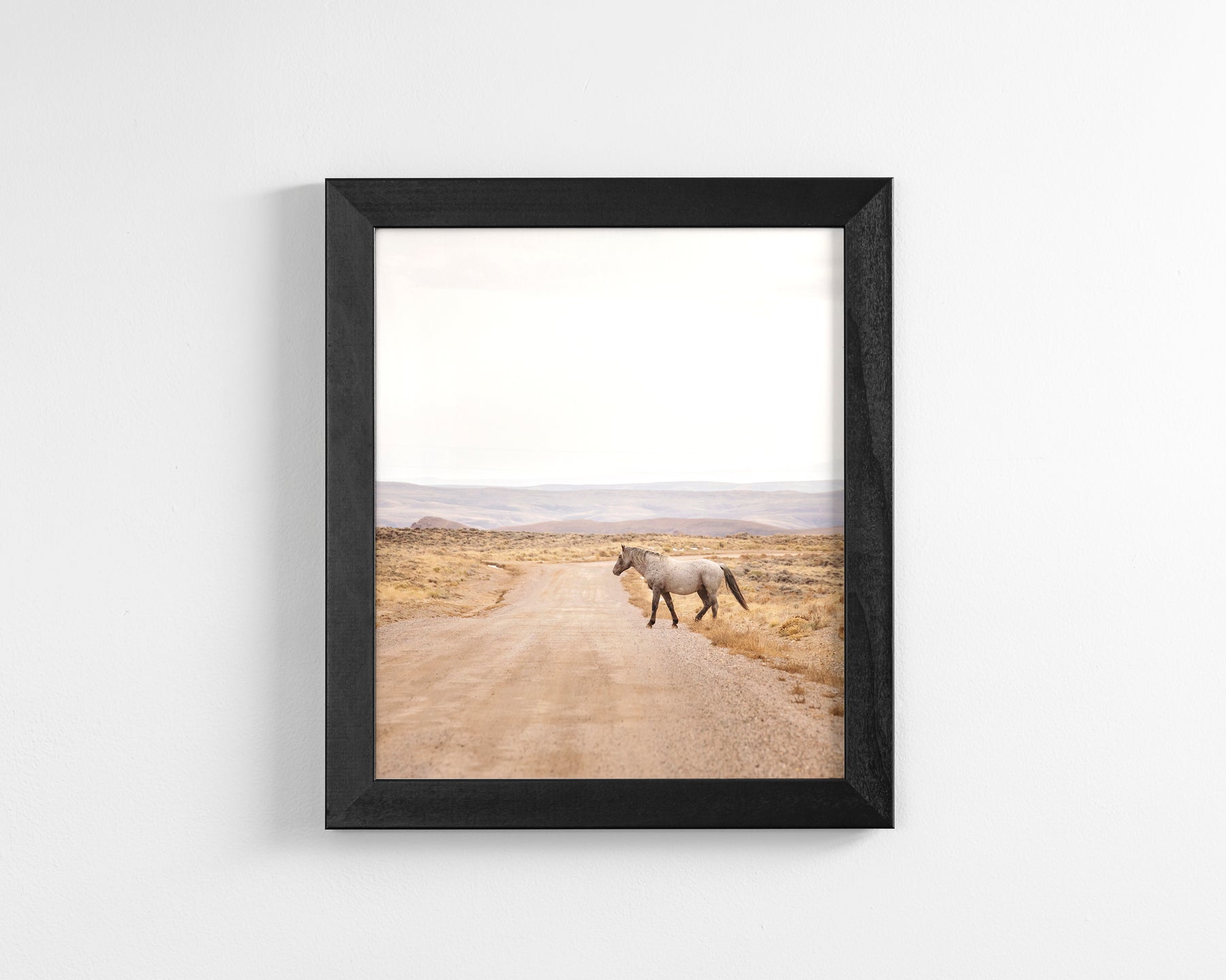 Desert Stallion, color