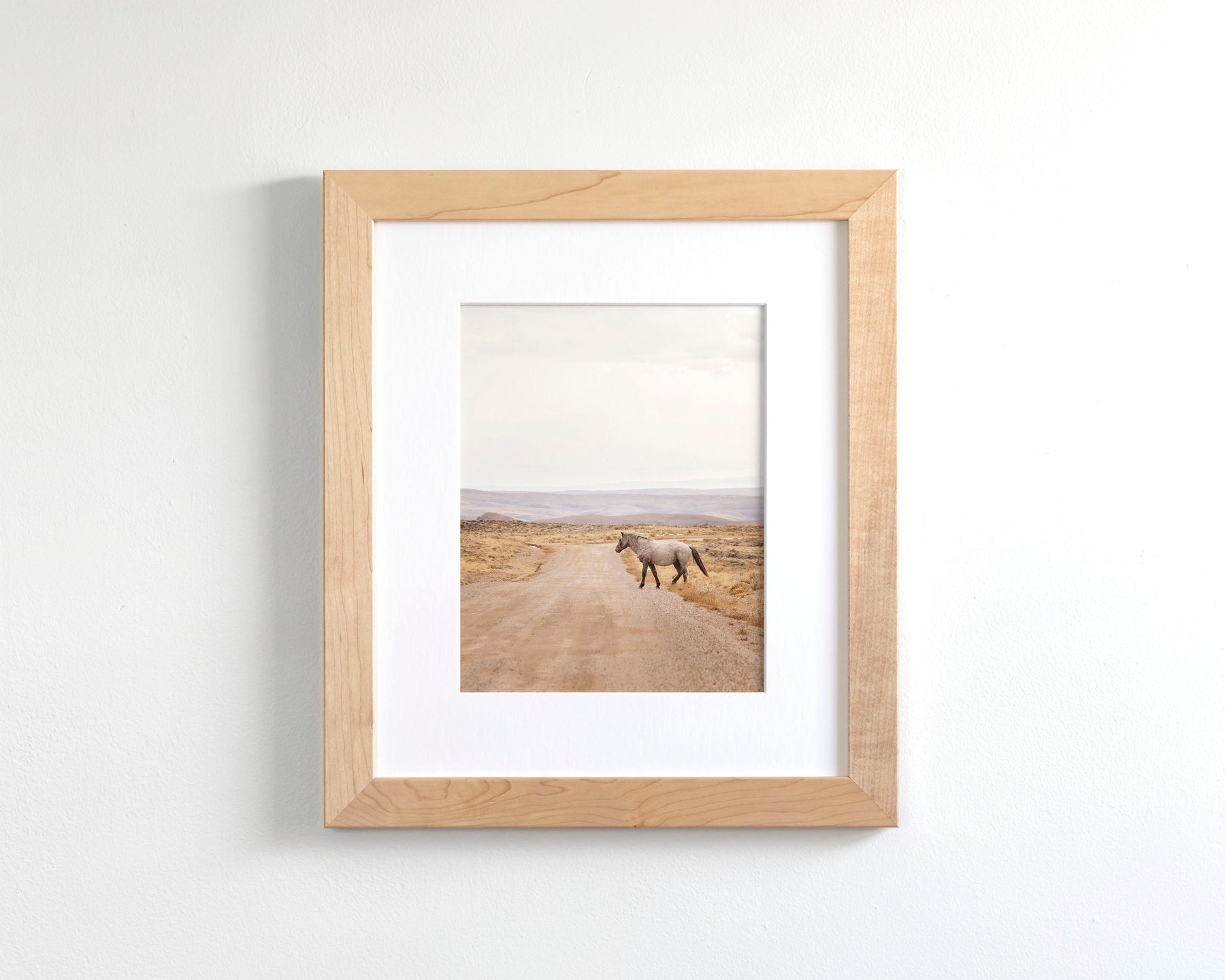 Desert Stallion, color