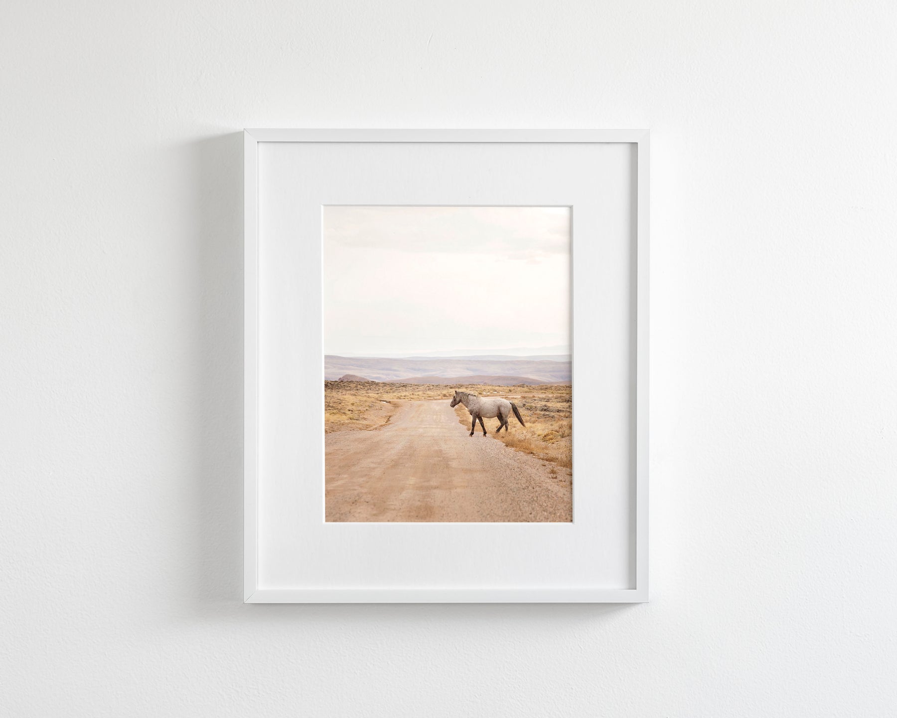 Desert Stallion, color