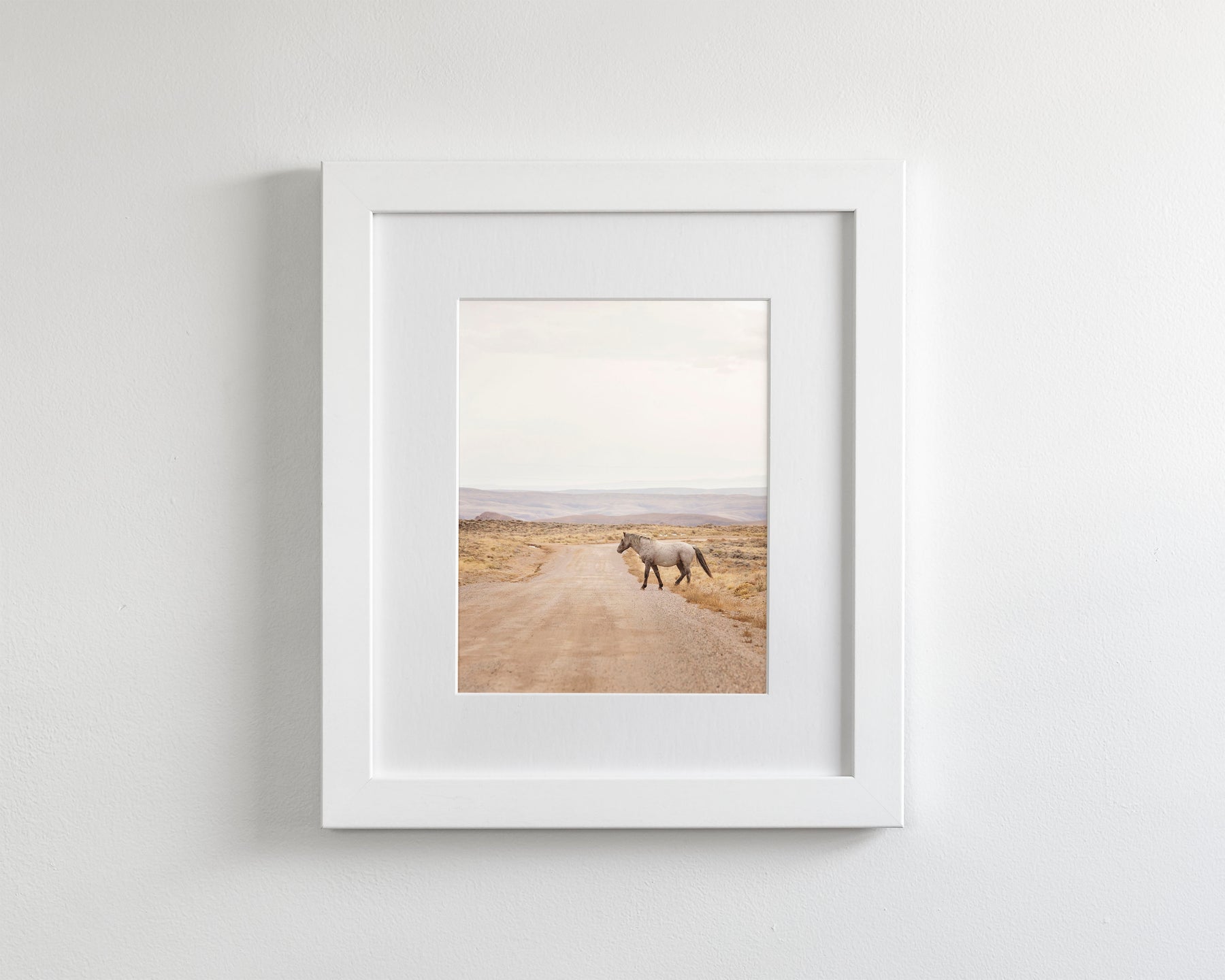 Desert Stallion, color