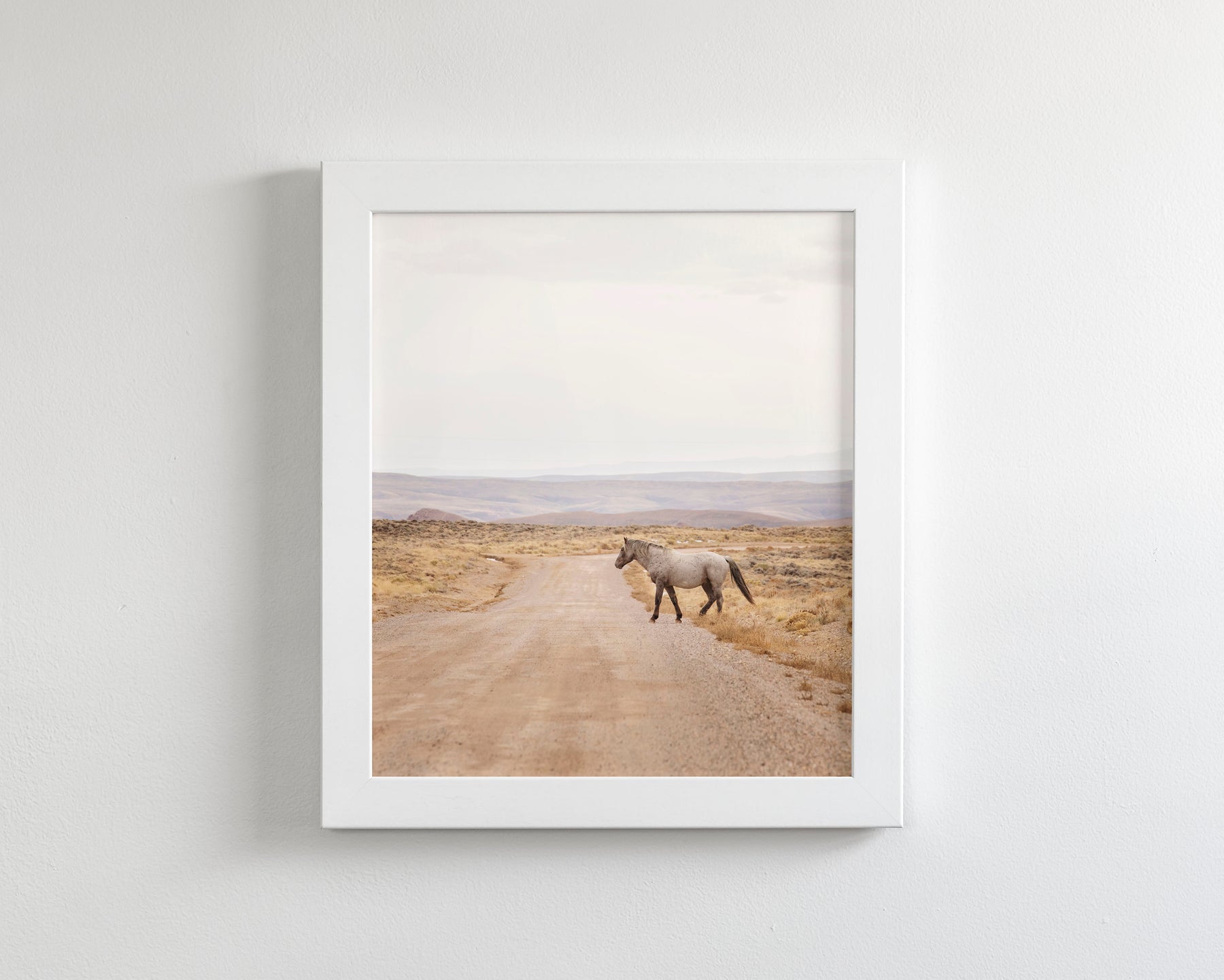 Desert Stallion, color